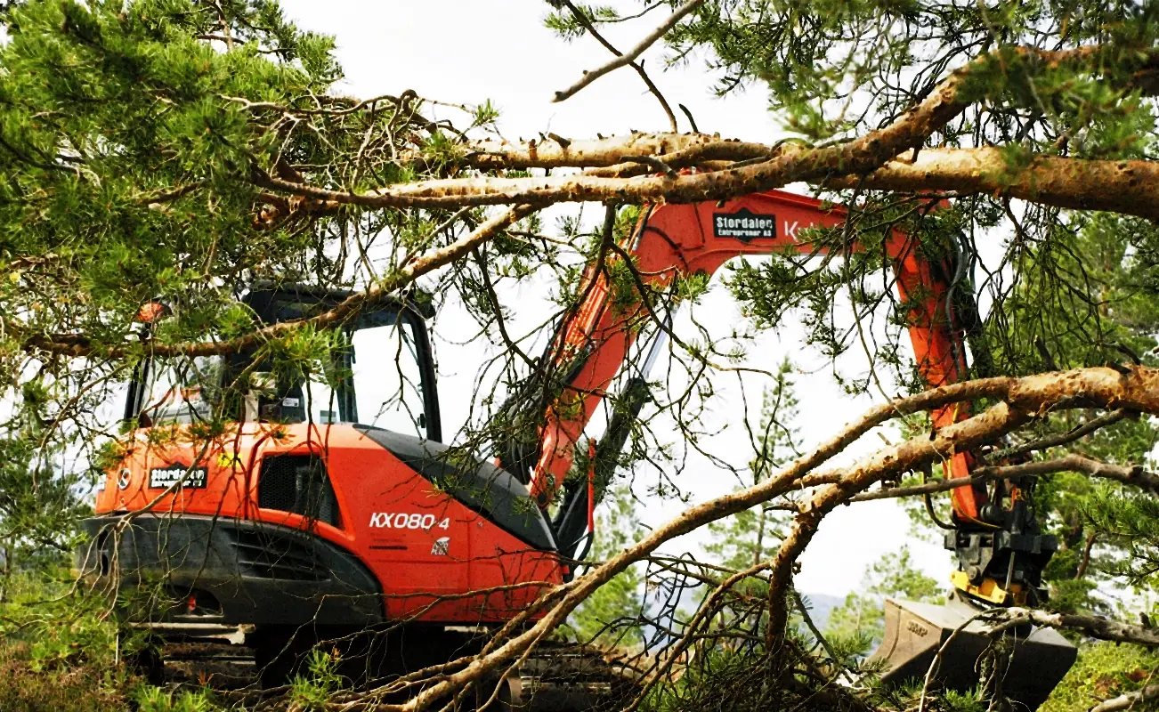 Gravemaskin rydder trær på en tomt